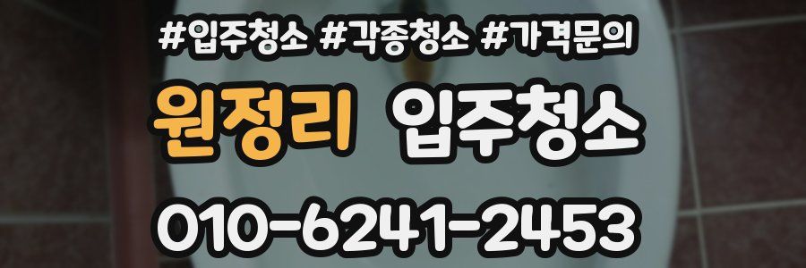 원정리 이사청소