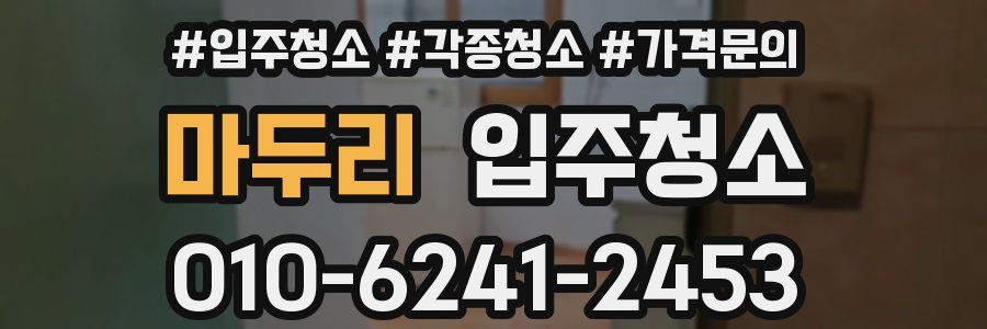 마두리 이사청소