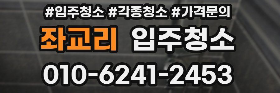 좌교리 이사청소