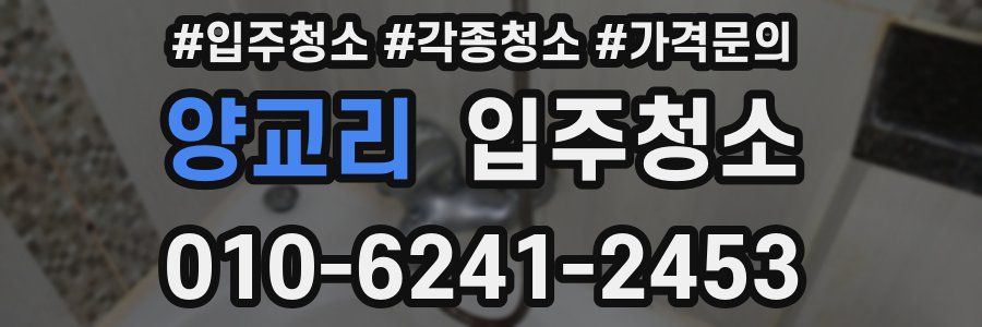 양교리 이사청소