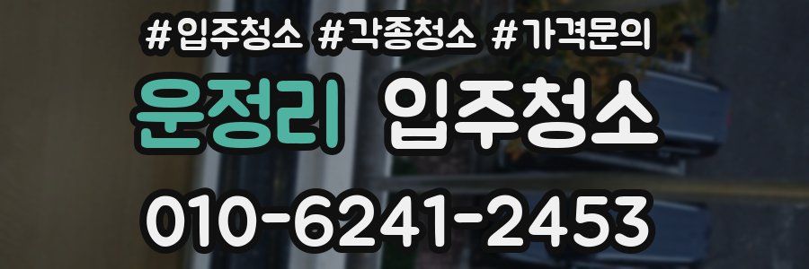 운정리 이사청소