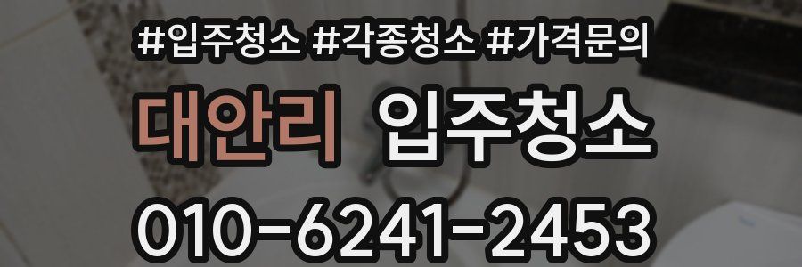 대안리 이사청소