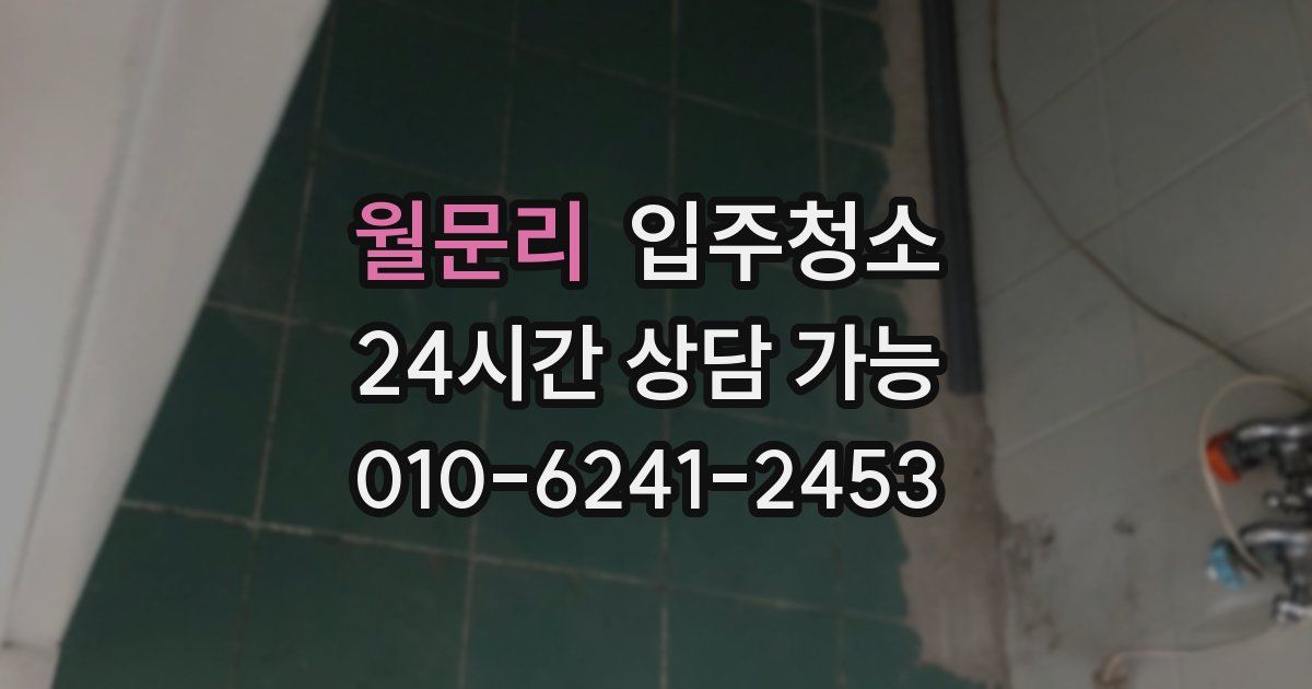 월문리 입주청소