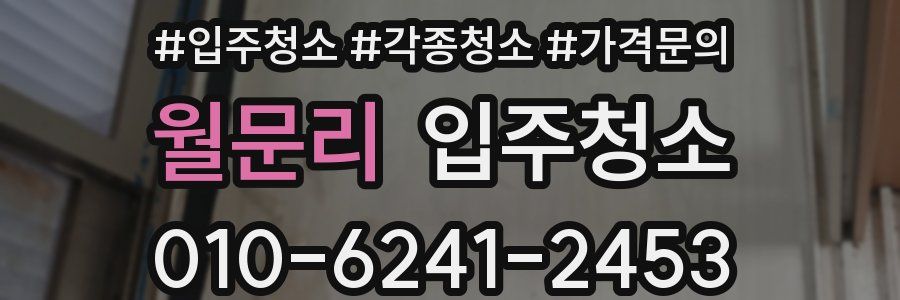 월문리 이사청소