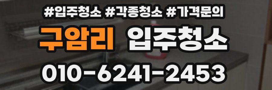 구암리 이사청소