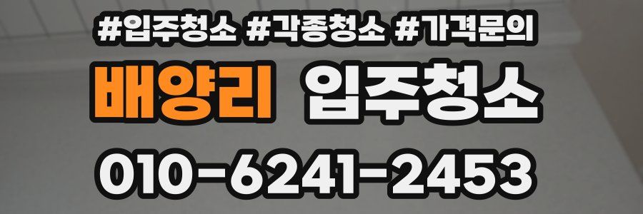 배양리 이사청소