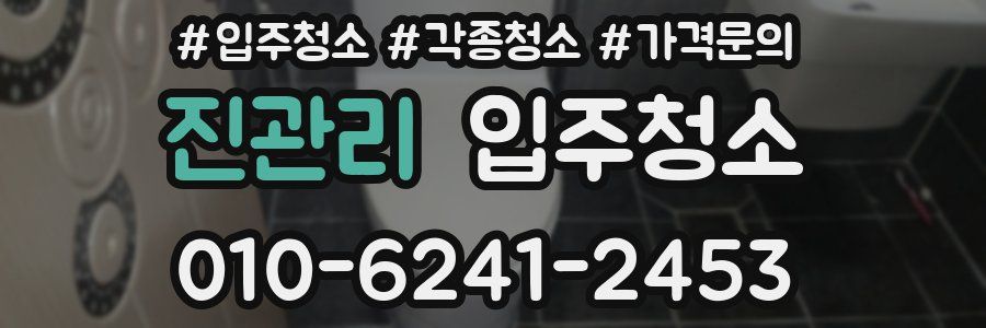 진관리 이사청소