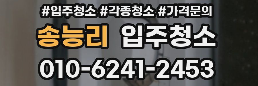 송능리 이사청소