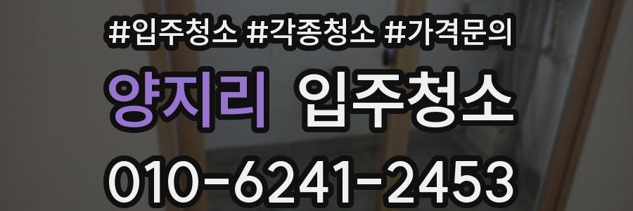 양지리 이사청소