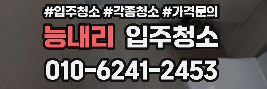 능내리 이사청소