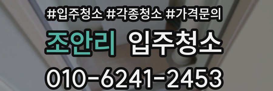 조안리 이사청소