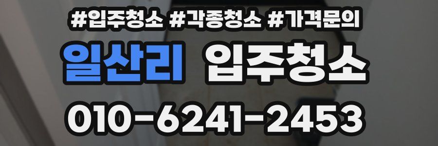 일산리 이사청소