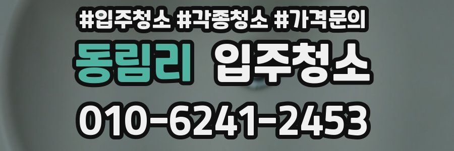 동림리 이사청소