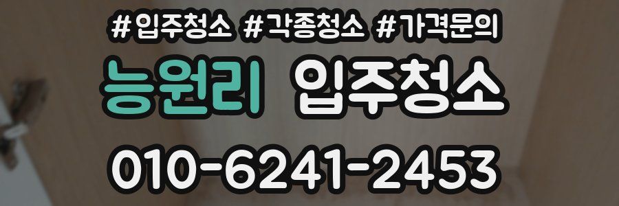 능원리 이사청소