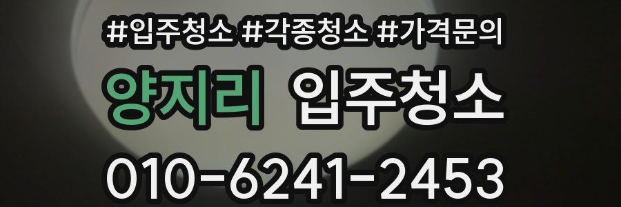 양지리 이사청소