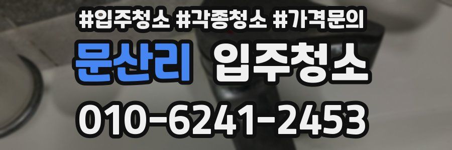 문산리 이사청소