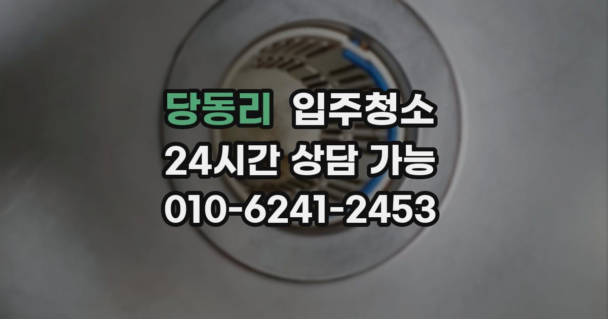당동리 입주청소