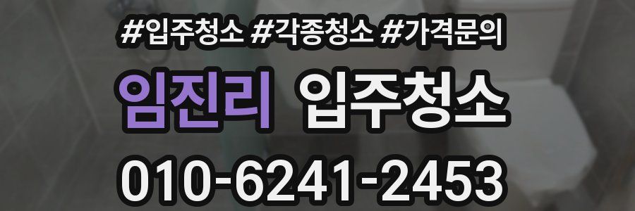 임진리 이사청소