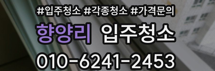 향양리 이사청소