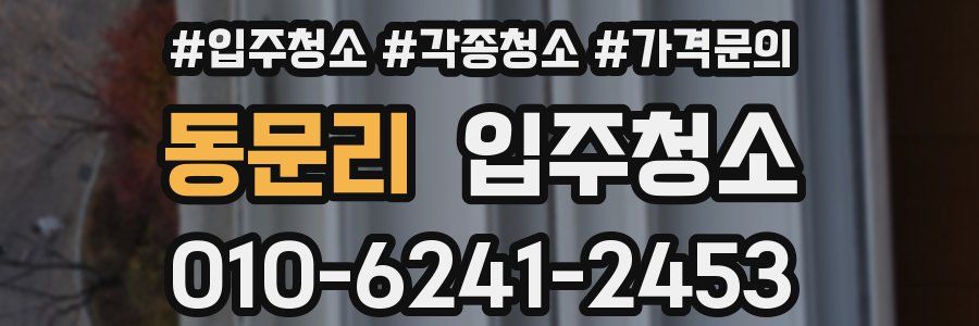 동문리 이사청소