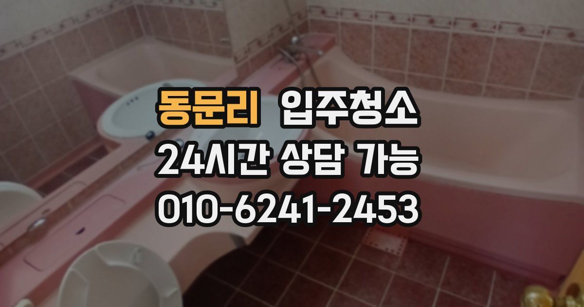 동문리 입주청소