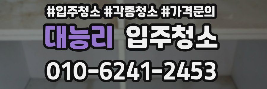 대능리 이사청소