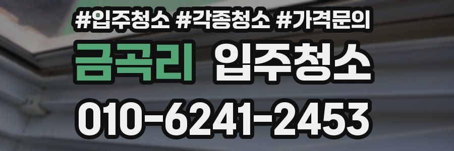 금곡리 이사청소