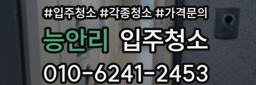 능안리 이사청소