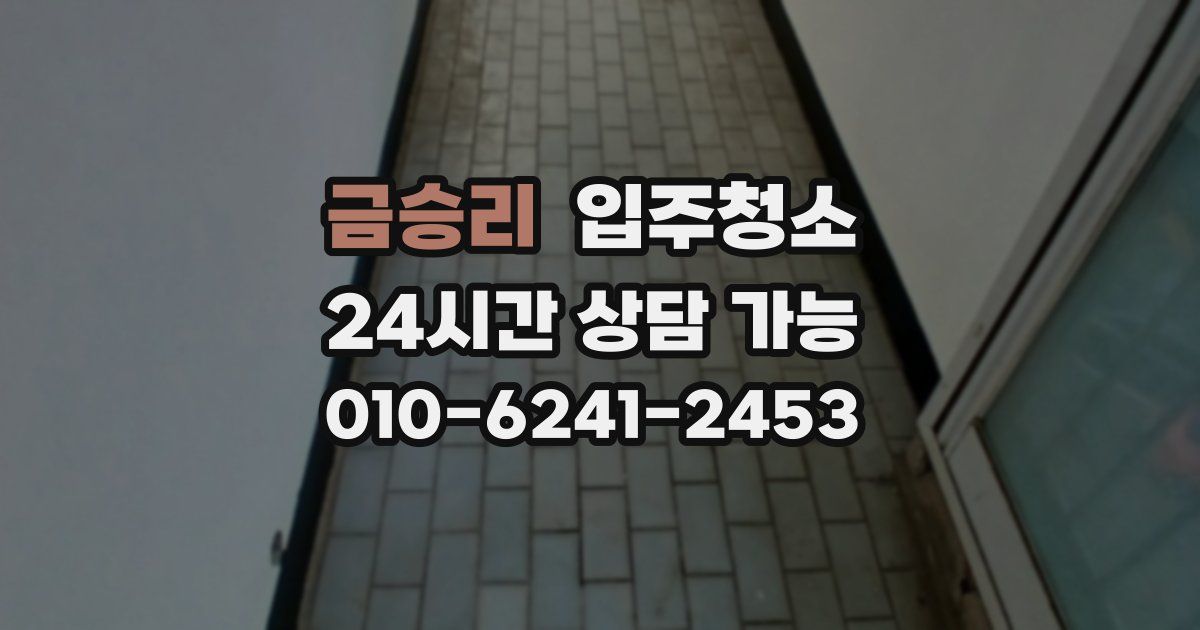금승리 입주청소