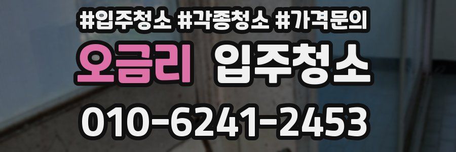 오금리 이사청소