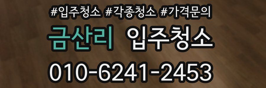 금산리 이사청소