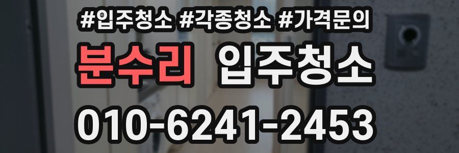 분수리 이사청소