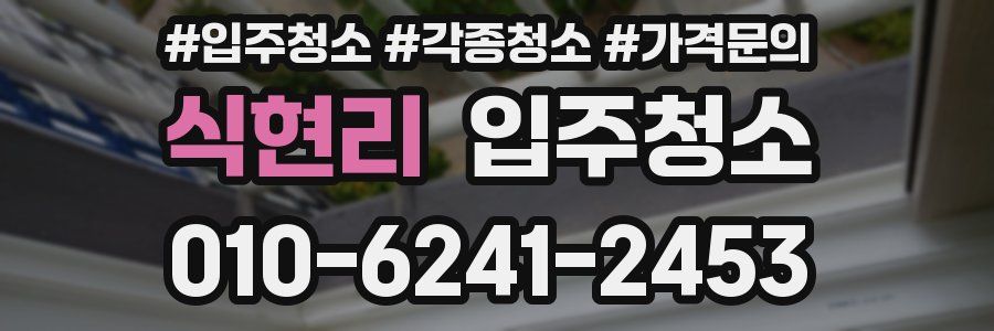 식현리 이사청소