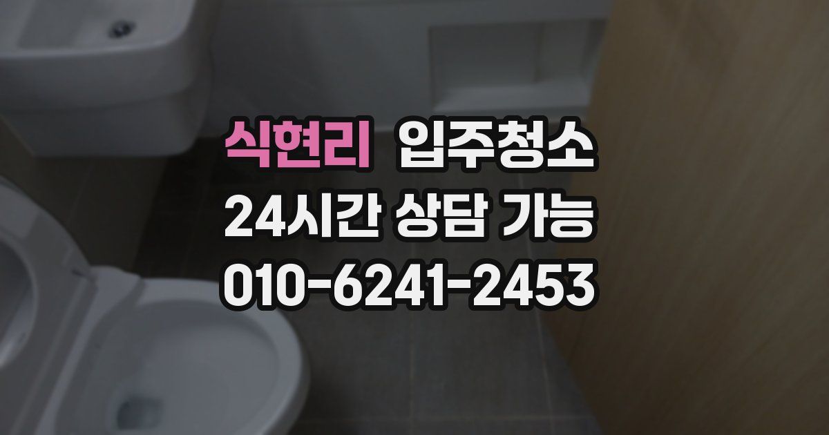 식현리 입주청소