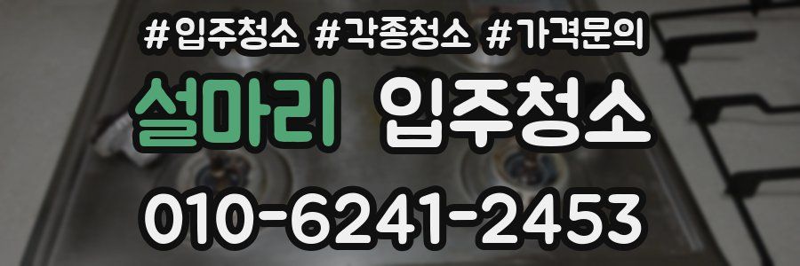 설마리 이사청소