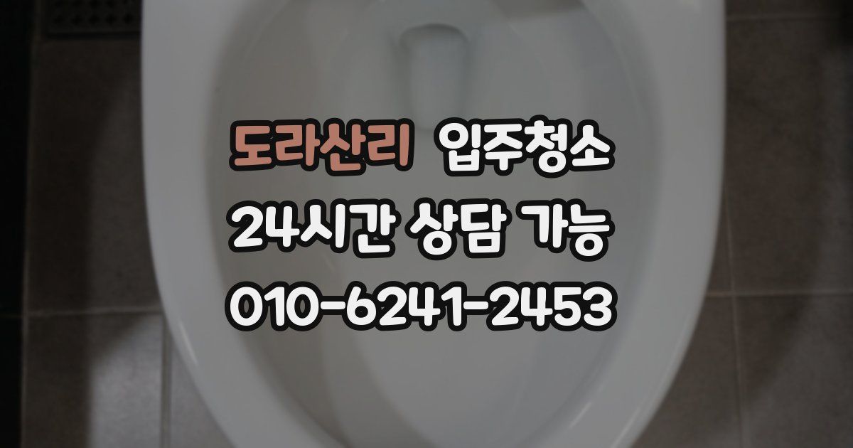 도라산리 입주청소