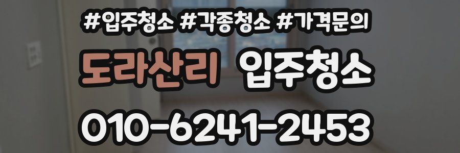 도라산리 이사청소