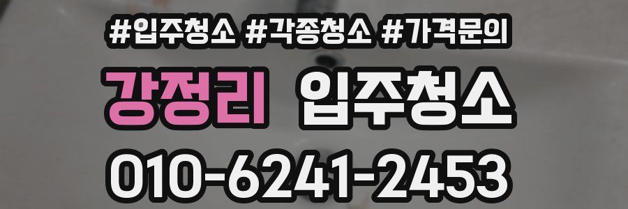 강정리 이사청소