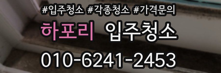 하포리 이사청소