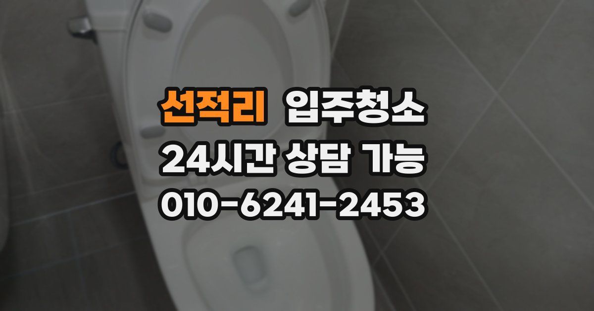 선적리 입주청소