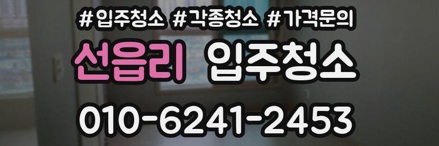 선읍리 이사청소