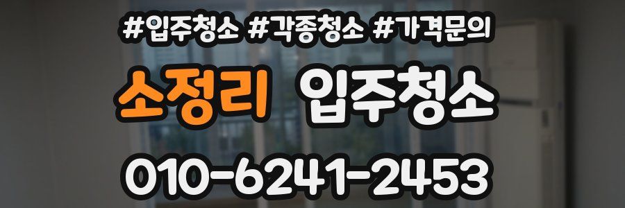 소정리 이사청소