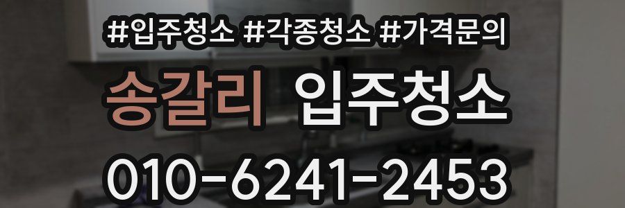 송갈리 이사청소