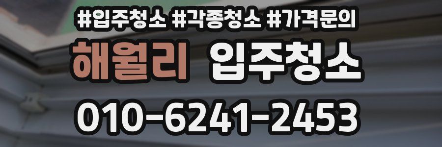 해월리 이사청소