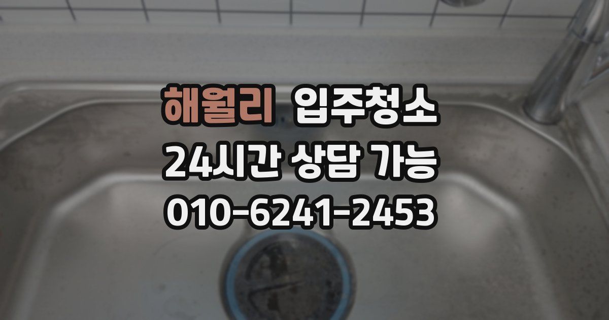 해월리 입주청소