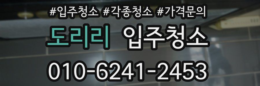 도리리 이사청소