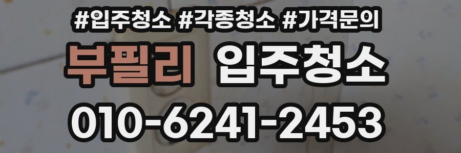 부필리 이사청소