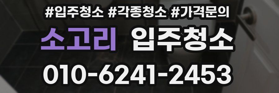 소고리 이사청소