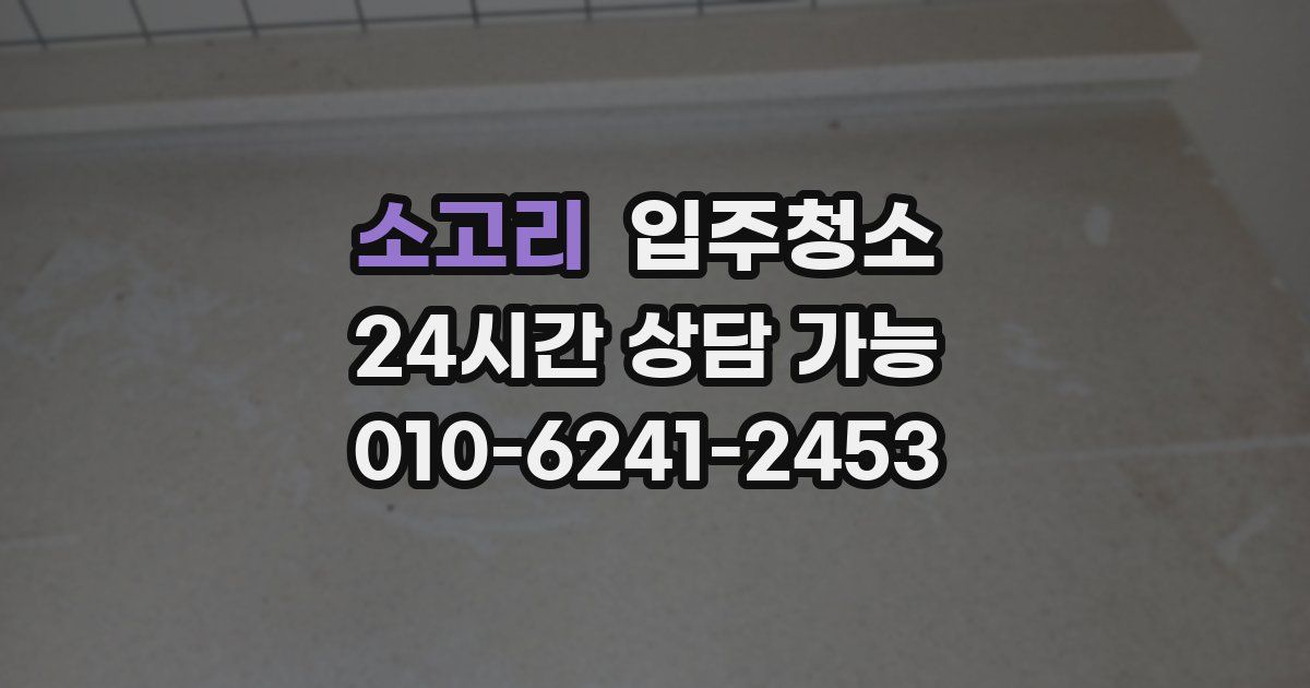 소고리 입주청소