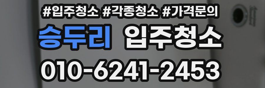 승두리 이사청소